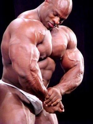 petit le grand champion des poids loudrs